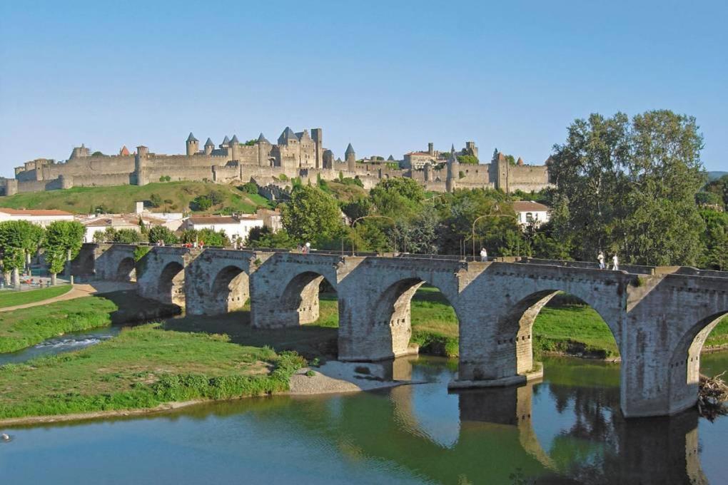 Vue Sur Cite - Spa Carcassonne Bagian luar foto
