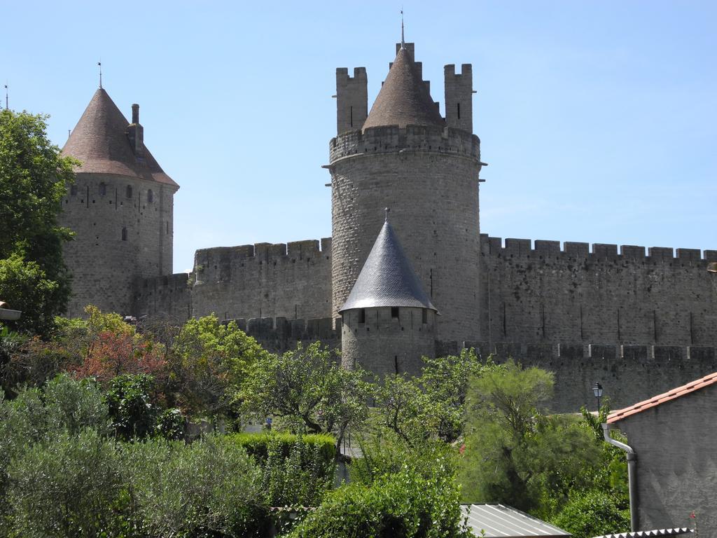 Vue Sur Cite - Spa Carcassonne Ruang foto