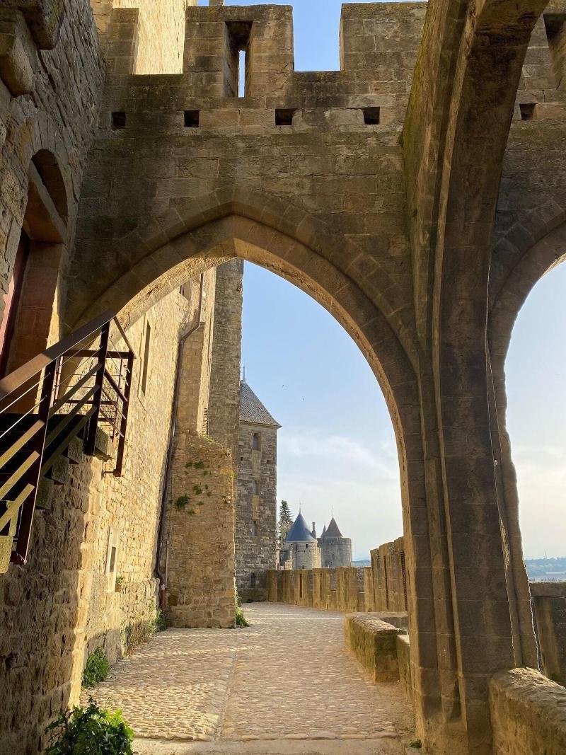 Vue Sur Cite - Spa Carcassonne Bagian luar foto
