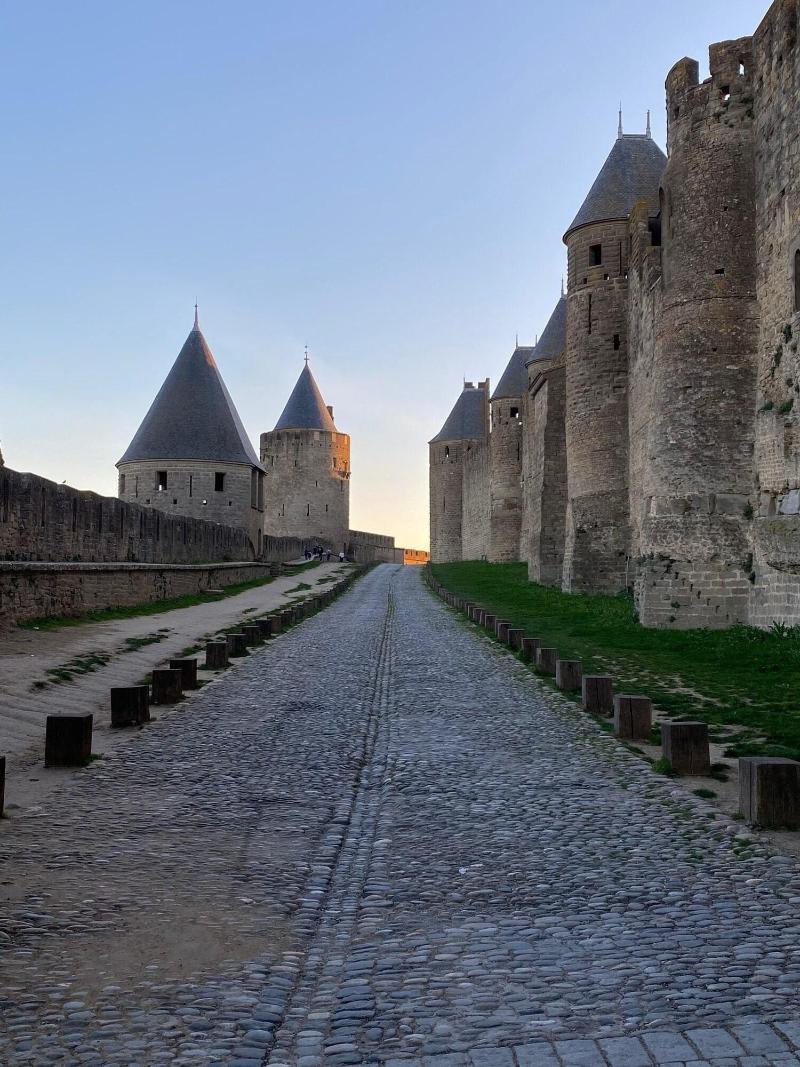 Vue Sur Cite - Spa Carcassonne Bagian luar foto